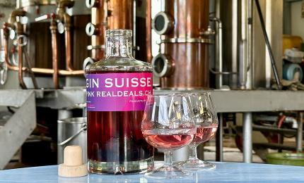 PINK GIN REALDEALS.CH